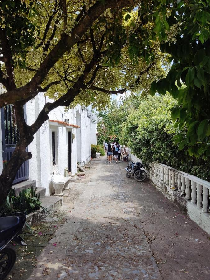 Cabana 52 En La Aldea Doradal Santorini Colombiano Екстер'єр фото
